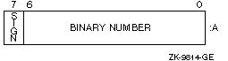 INTEGER(1) Data Representation